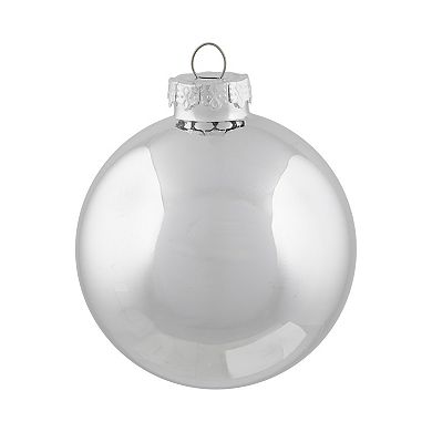Northlight Shiny & Matte Christmas Glass Ball Christmas Ornaments 6-pk.
