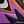 Bright Violet Black
