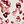 Dark Red Micro Petals