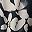 Sm Navy Bloom Floral