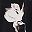 Black White Floral