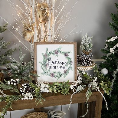Northlight Wooden Framed "Believe In The Season" 11.75-Inch Wall Decor