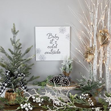 Northlight 11.75-Inch Glittered "Baby It's Cold Outside" Wall Decor