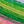 Green Pink