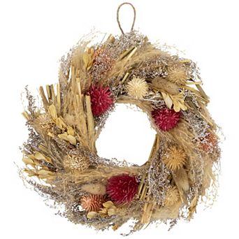 Northlight 11 in Fall Harvest Artificial Pampas Grass & Dried Flower Wreath