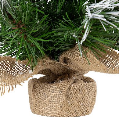 Northlight 14-in. Artificial Mini Christmas Tree Unlit in Burlap Base