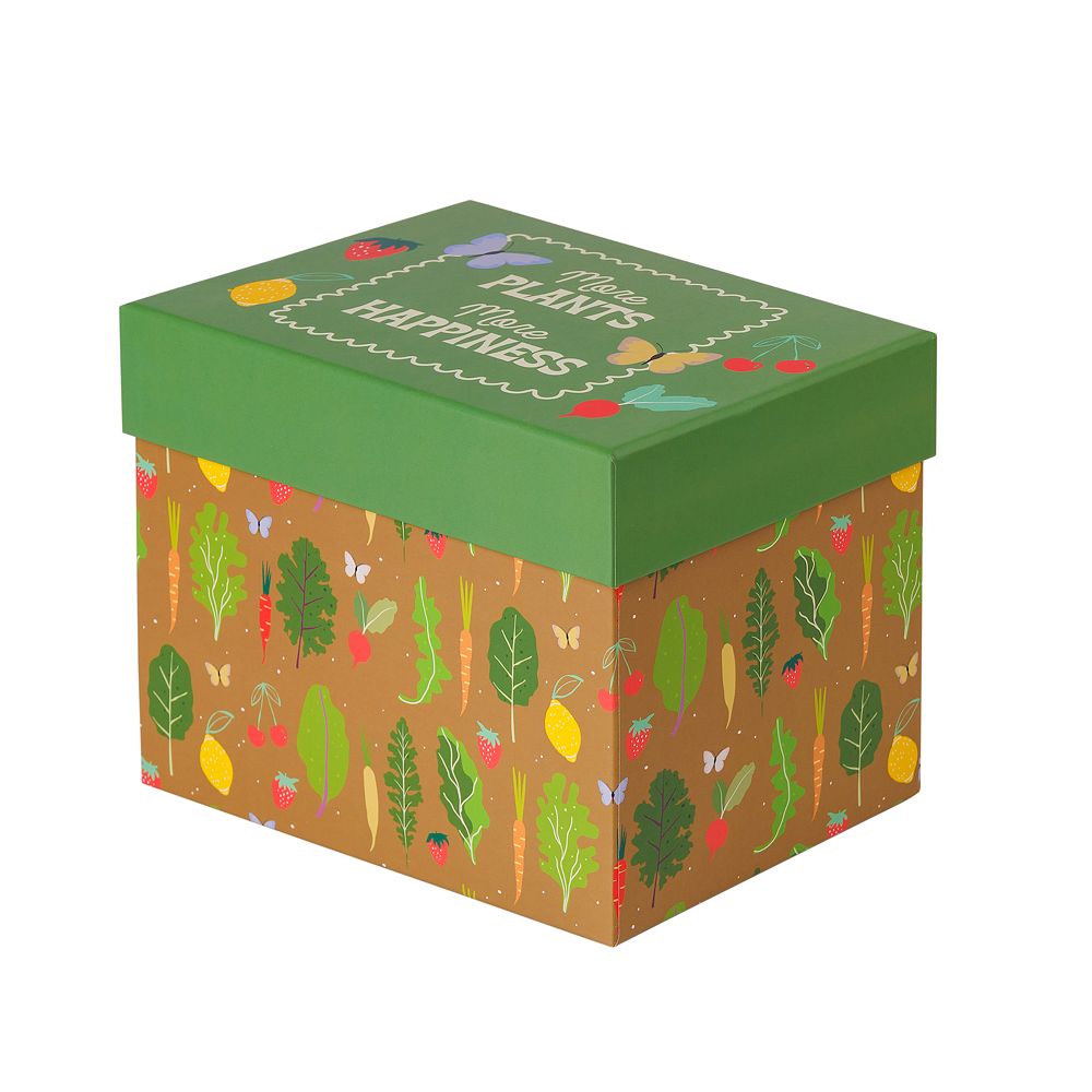 Seed Storage Box