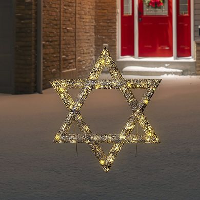 Northlight LED Lighted Sequined Star of David Outdoor Decoration - 36 inches