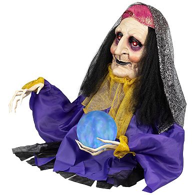 Northlight Lighted & Animated Fortune Teller Halloween Decoration