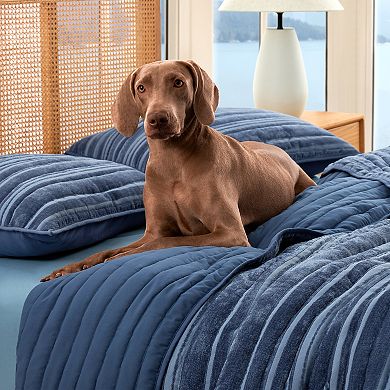 Bearpaw Flint Chenille Quilt Set with Shams