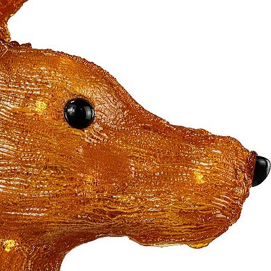 Northlight LED Lighted Acrylic Reindeer Outdoor Christmas Decoration 46 Inches