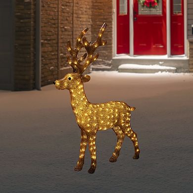 Northlight LED Lighted Acrylic Reindeer Outdoor Christmas Decoration 46 Inches