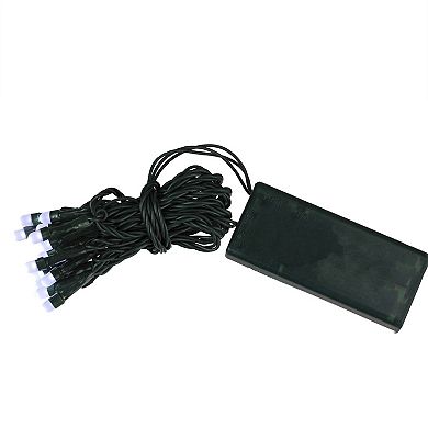 ProductWorks 15 Battery Operated White LED Micro Rice Christmas Lights