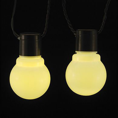 Kurt Adler 10 Warm White LED Christmas Lights on 15-ft. Black Wire