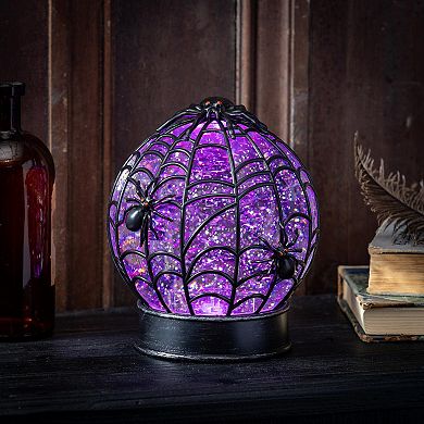 Evergreen Enterprises Spider Web LED Water Globe Table Decor