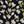 Black Bloom Floral