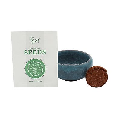 Buzzy Seeds Crackle Ceramic Bonsai Grow Kit