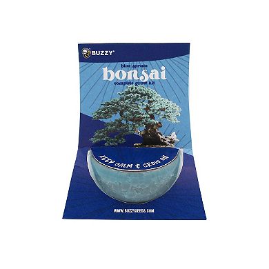Buzzy Seeds Crackle Ceramic Bonsai Grow Kit
