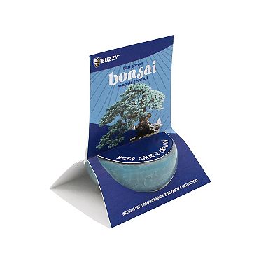 Buzzy Seeds Crackle Ceramic Bonsai Grow Kit