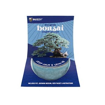 Buzzy Seeds Crackle Ceramic Bonsai Grow Kit