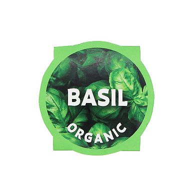 Buzzy Seeds Paper Pulp Pot Grow Kit