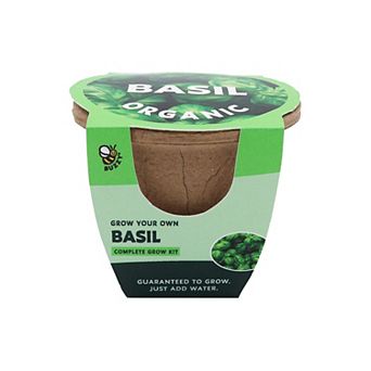 Buzzy Seeds Paper Pulp Pot Grow Kit