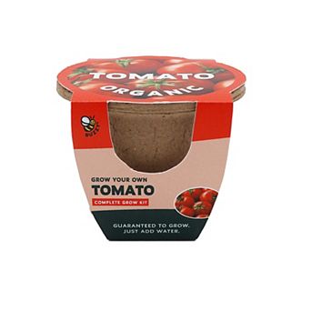 Buzzy Seeds Paper Pulp Pot Grow Kit