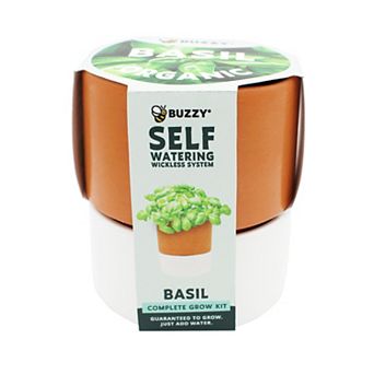 Buzzy Seeds Self-Watering Terracotta Grow Kit