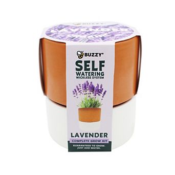 Buzzy Seeds Self-Watering Terracotta Grow Kit