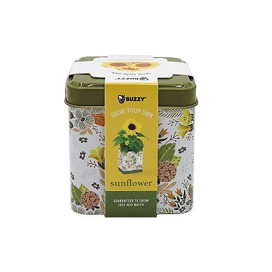 Buzzy Seeds Square Grow Tin Sunflower Seed Kit
