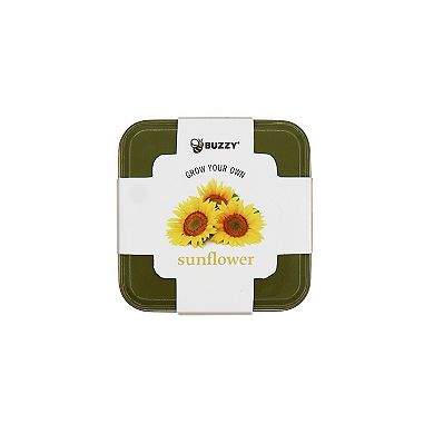 Buzzy Seeds Square Grow Tin Sunflower Seed Kit