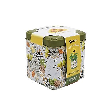 Buzzy Seeds Square Grow Tin Sunflower Seed Kit