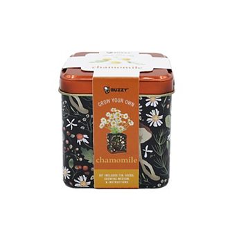 Buzzy Seeds Square Grow Tin Sunflower Seed Kit