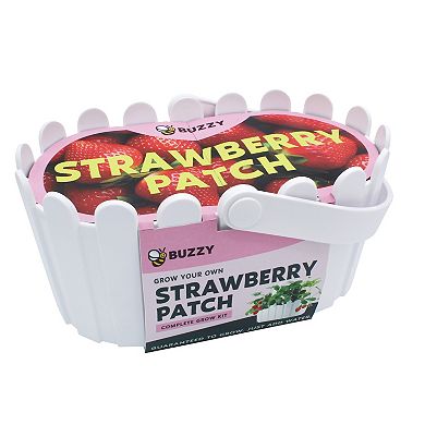 Buzzy Seeds Garden Basket Grow Kit