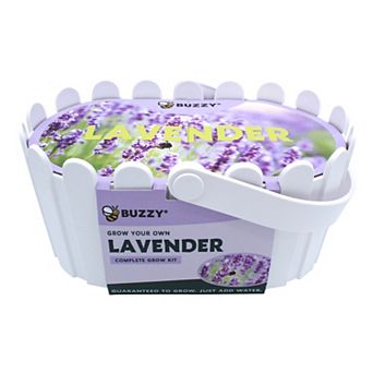 Buzzy Seeds Garden Basket Grow Kit