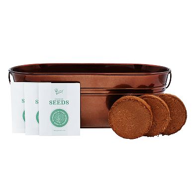 Buzzy Seeds Windowsill Herb Garden Grow Kit