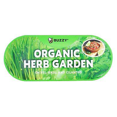 Buzzy Seeds Windowsill Herb Garden Grow Kit
