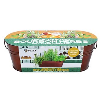 Buzzy Seeds Windowsill Herb Garden Grow Kit