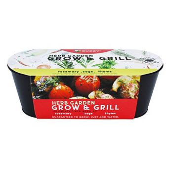 Buzzy Seeds Windowsill Herb Garden Grow Kit