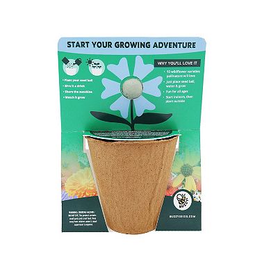 Buzzy Seeds Wildflower Seed Ball Grow Kit