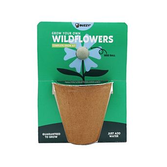 Buzzy Seeds Wildflower Seed Ball Grow Kit