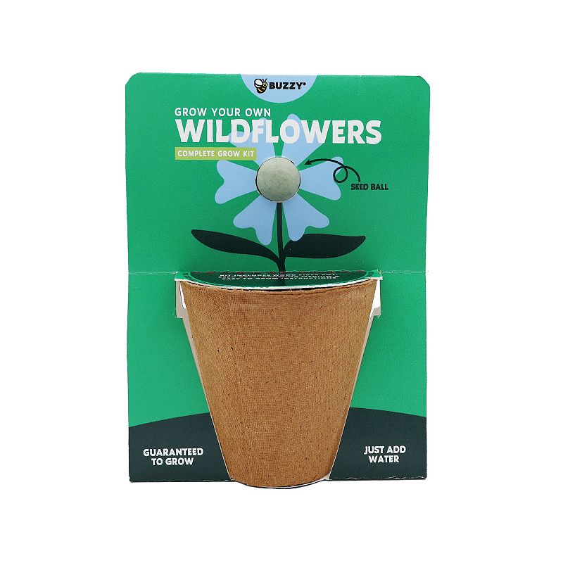 Buzzy Seeds Wildflower Seed Ball Grow Kit (Green) Review — Easy, Eco-Friendly Blooms