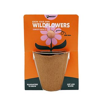 Buzzy Seeds Wildflower Seed Ball Grow Kit