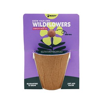 Buzzy Seeds Wildflower Seed Ball Grow Kit