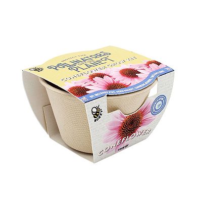 Buzzy Seeds Pollinator Cup Grow Grow Kit