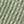 Black Green Gray