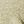 Beige Khaki Green
