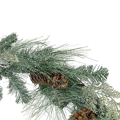Northlight Frosted Mixed Pine & Pine Cones Artificial Christmas Garland