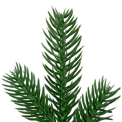 Northlight 48-Inch Unlit Coniferous Pine Artificial Teardrop Garland