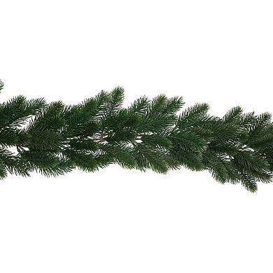 Northlight 6-ft. Artificial Winter Pine Garland
